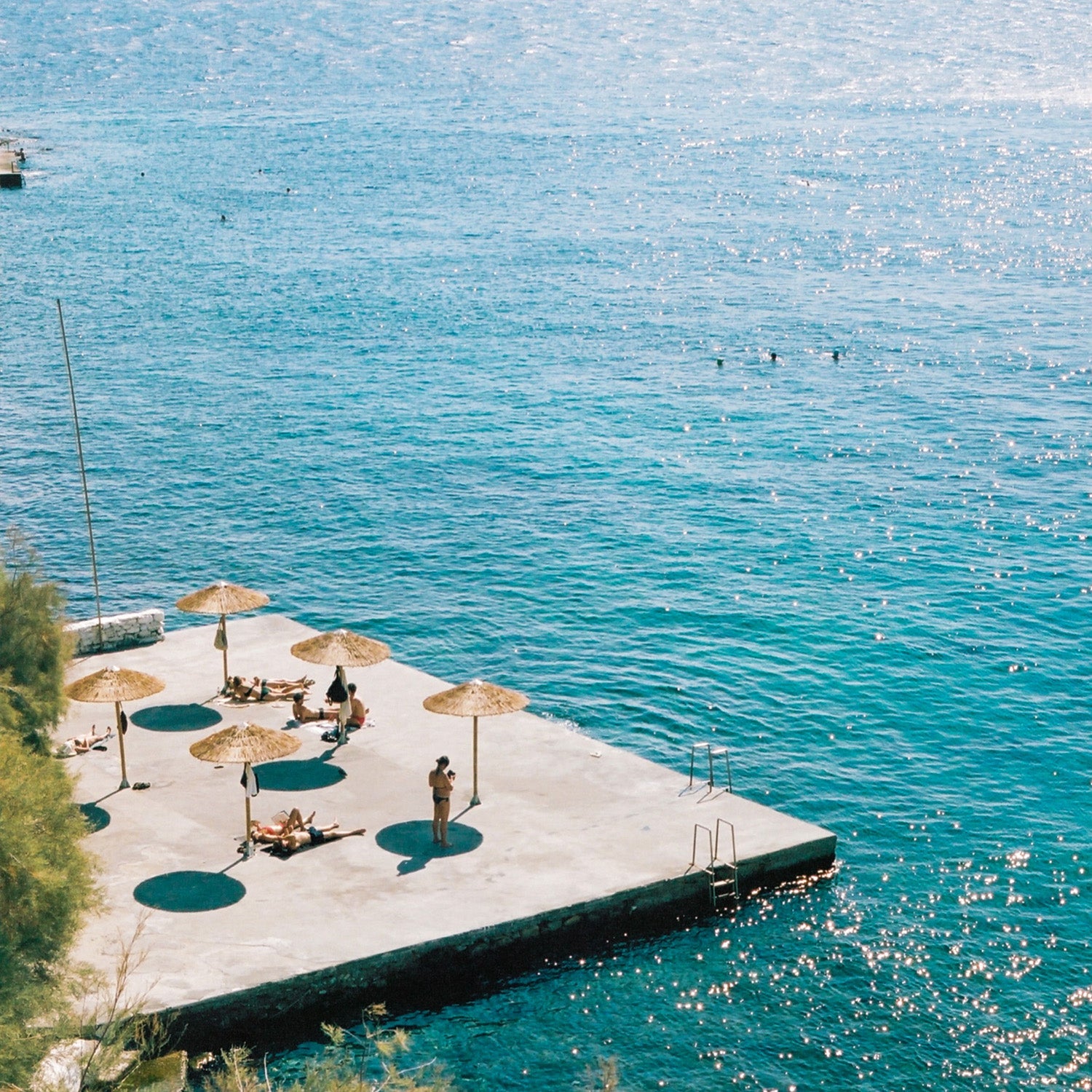 Canon AE-1 Program | 35mm Film Camera