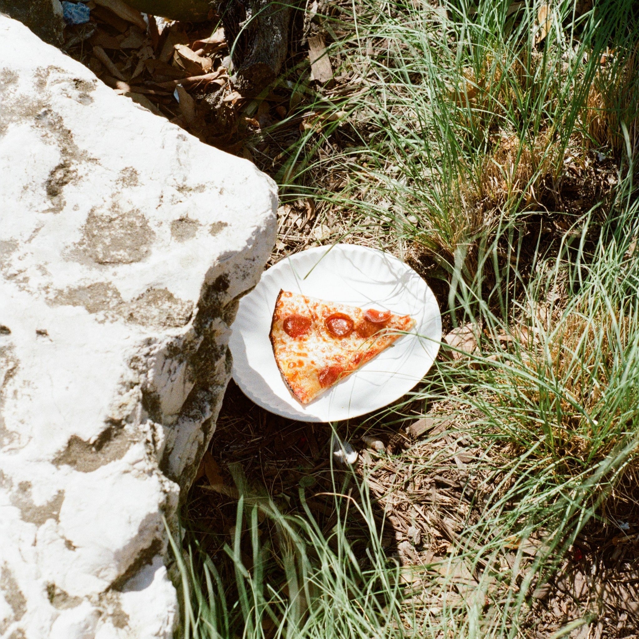 Canon AE-1 | 35mm Film Camera