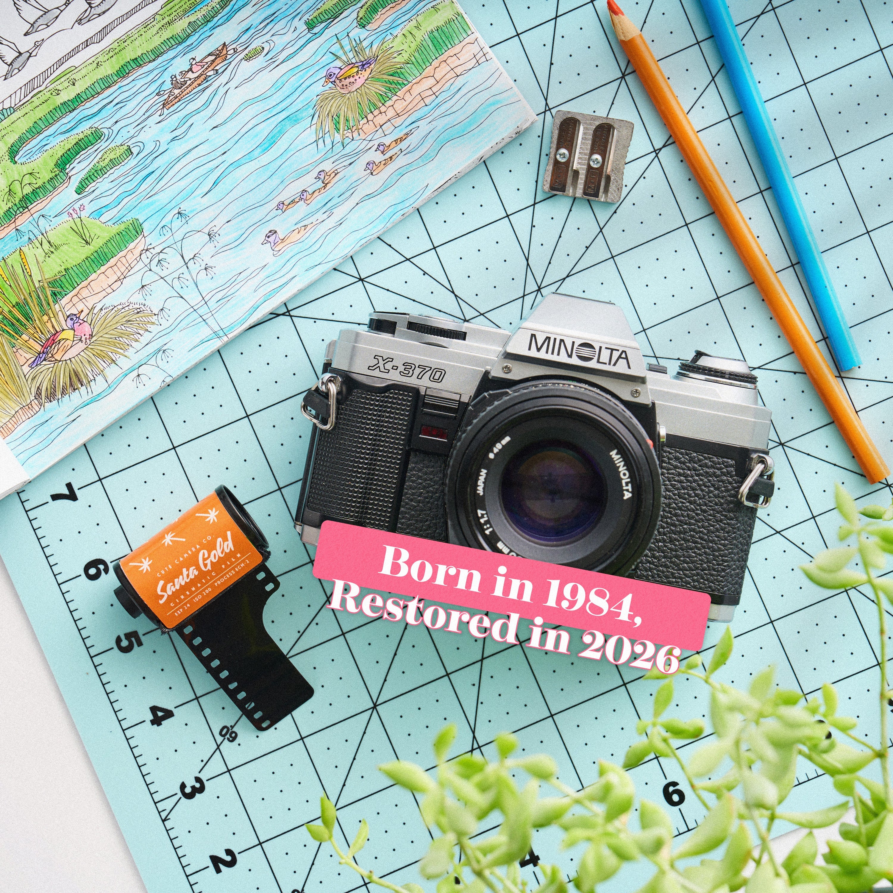 Minolta X-370 | 35mm Film Camera