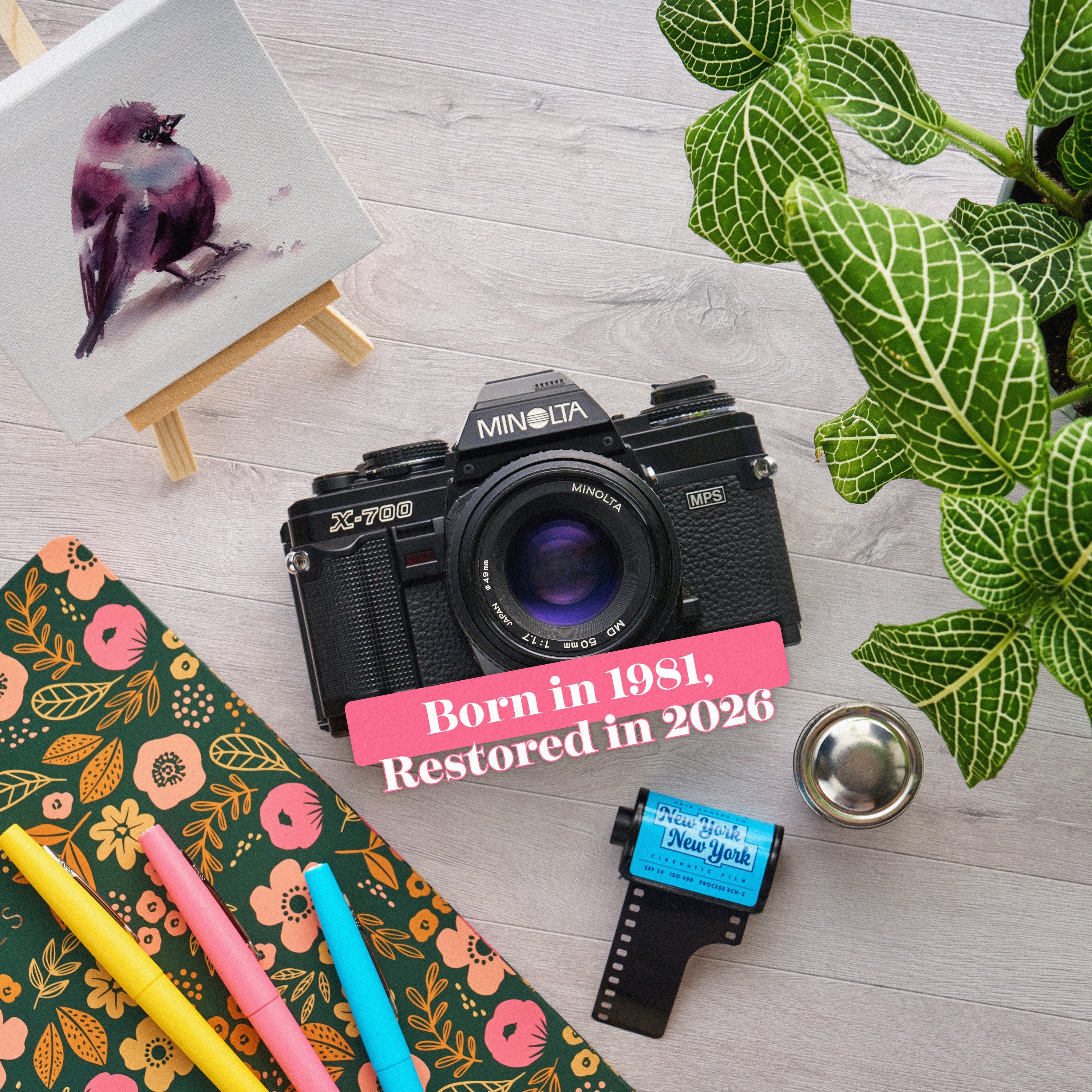 Minolta X-700 | 35mm Film Camera